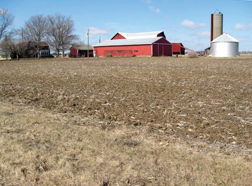 Property photo 5 - 127 Acres Offered in 4 Tracts